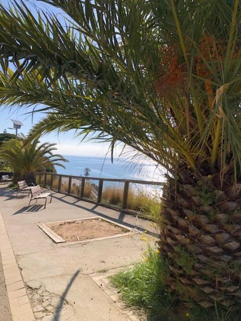 The Hollidays Apartment Καλέλα Εξωτερικό φωτογραφία